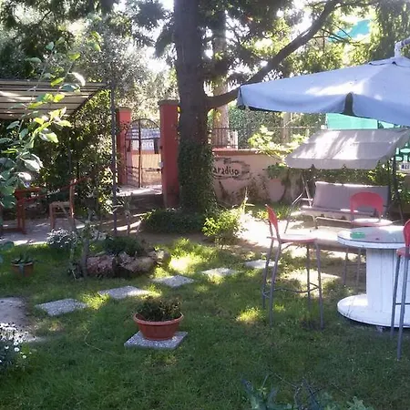 Paradiso * Сарцана