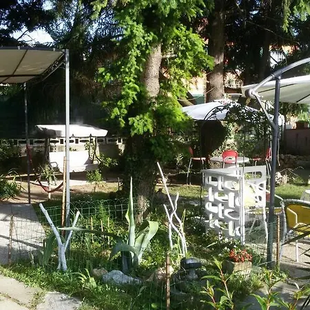 Paradiso * Сарцана