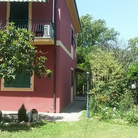 Paradiso Отель типа 